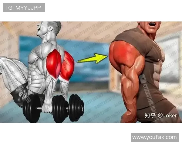 增强三头肌力量的外侧头哑铃训练全攻略与技巧分享